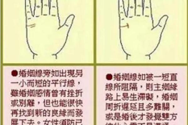 命理学中的女性命运分析：如何选择适合你的命相