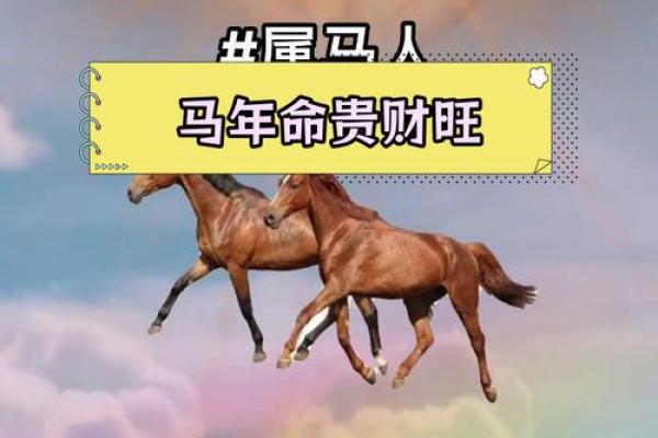 属马农历五月出生的人生命运解析与特质探讨