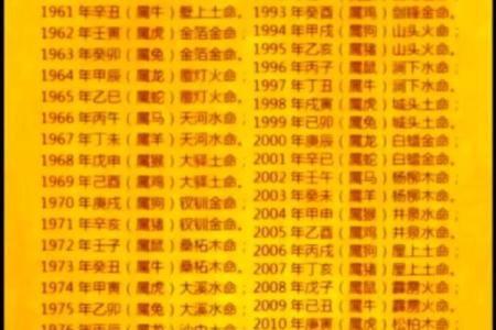 深入解析：身均衡金命是什么命格及其特点