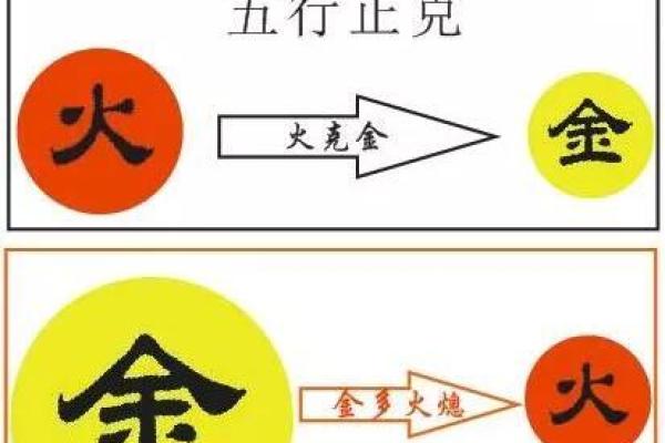 火命与金命：命理中的元素之分与生活启示