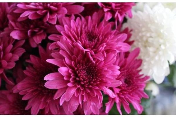 根据命理佩戴配饰,让你的运势更上一层楼! 根据命理佩戴配饰,让你的运势更上一层楼!