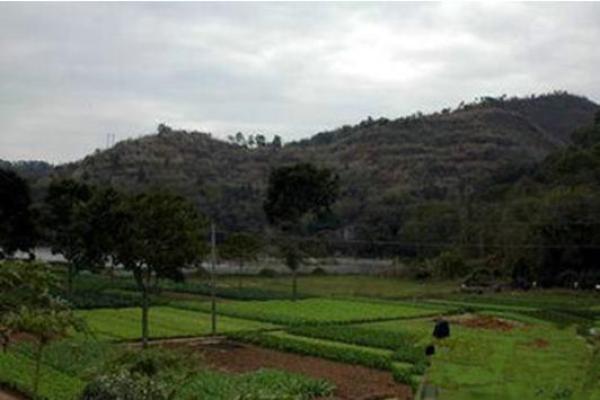 山头火命与最佳搭配命理探秘:寻找和谐的灵魂伴侣 山头火命与最佳搭配命理探秘:寻找和谐的灵魂伴侣