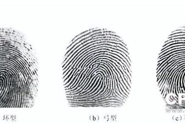 手指9簸箕1斗，命运与性格深度解析！