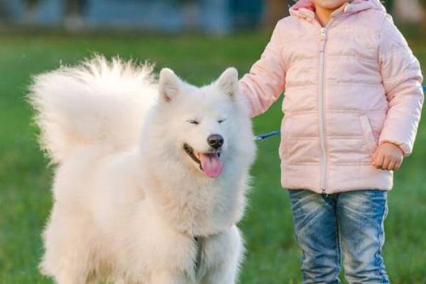 狗小孩的人生三命：善良、勇敢与幸福的旅程