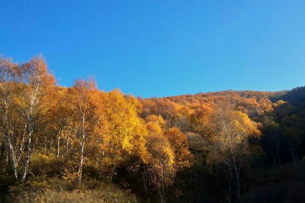 十月三日:揭示SH命的神秘面纱与人生启示 十月三日:揭示SH命的神秘面纱与人生启示
