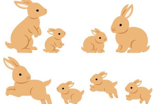 属猪人士命运不佳的深层原因探讨 属猪人士命运不佳的深层原因探讨