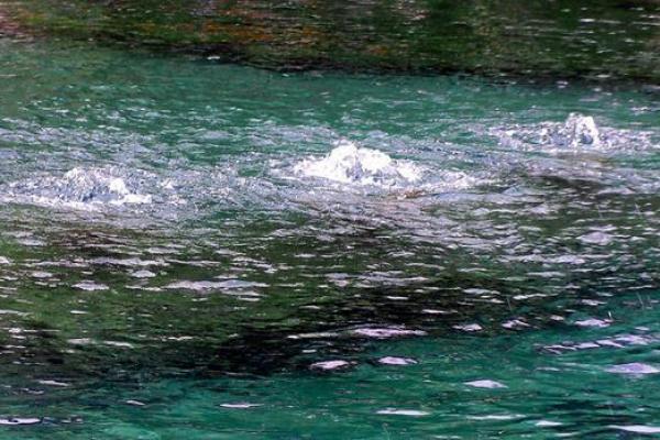 如何辨别泉中水命的不足之处,助你改善运势! 如何辨别泉中水命的不足之处,助你改善运势!