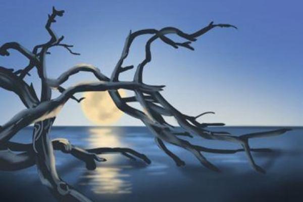 泉中水命的人适合养什么宠物?探寻最佳伴侣! 泉中水命的人适合养什么宠物?探寻最佳伴侣!