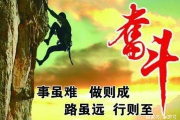 属狗男士的命运解析：诚实忠诚的信仰与奋斗人生之路