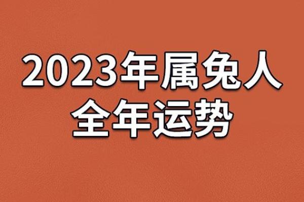 属兔2023年运势:78年出生的兔命解析与人生指南 属兔2023年运势:78年出生的兔命解析与人生指南