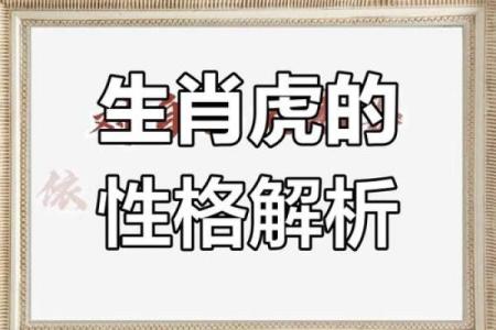 属虎1974年的人命运解析：如何更好地把握人生机遇