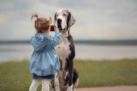 狗小孩的人生三命：善良、勇敢与幸福的旅程