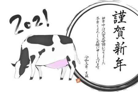 属虎女性的前世命运：探索神秘的轮回与宿命