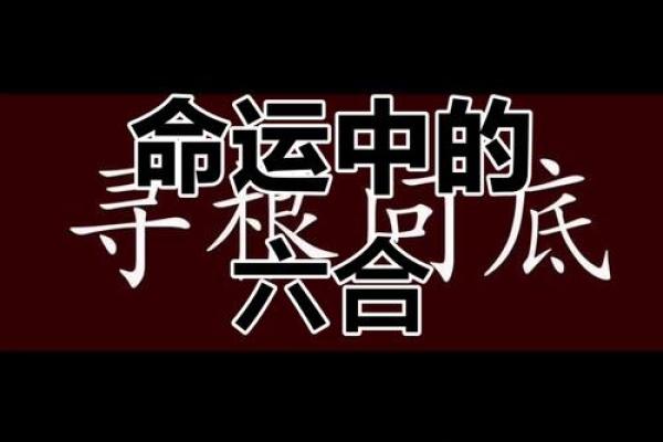 什么命是聪明的命格？解密聪慧命运的奥秘