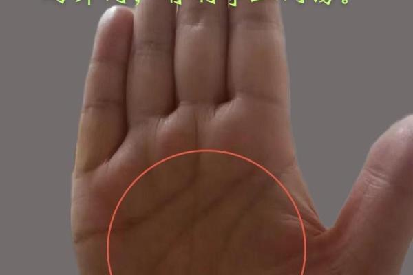 揭秘手相学:看看你的手相有没有好运气的迹象! 揭秘手相学:看看你的手相有没有好运气的迹象!