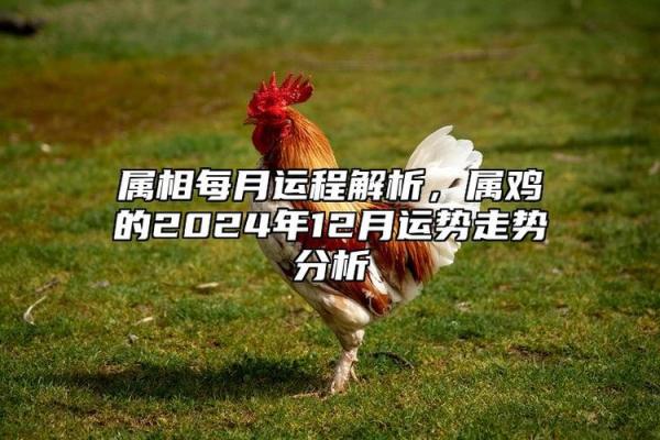 十二生肖金钱命解析：你的财富运势如何？