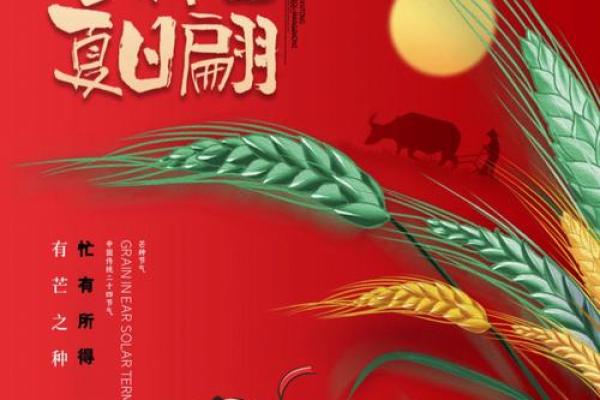 属鼠人生于芒种：探索命运与性格的奥秘