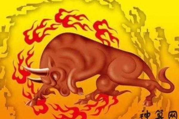 属牛女五行解读：命格的奥秘与人生启示