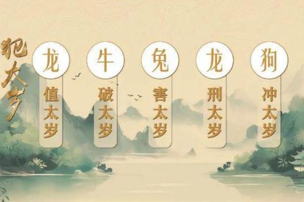 属龙的人生运势与42岁命理解析 属龙的人生运势与42岁命理解析