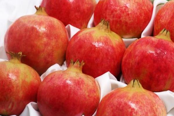 石榴木命女性的命理解析与最佳配对建议