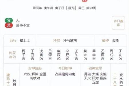 属鼠人生于芒种：探索命运与性格的奥秘