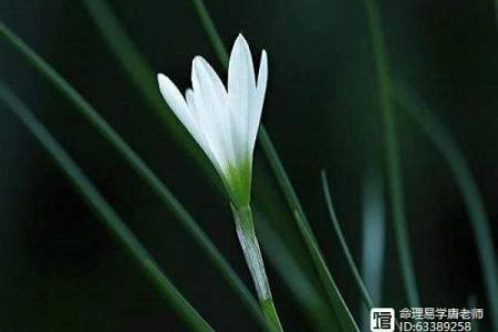 命格与财富：为何财富总是与你擦肩而过？