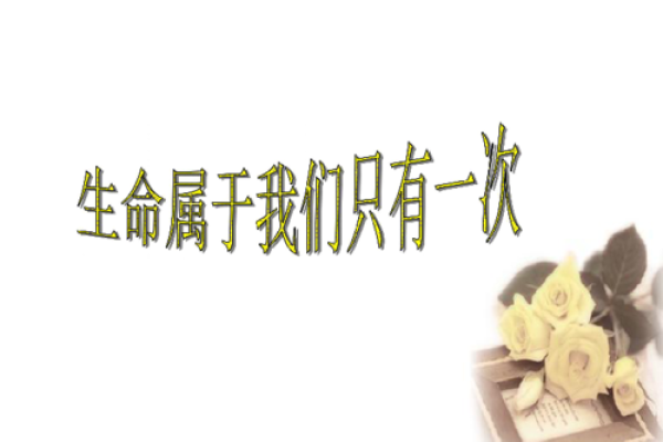生命的唯一性：为什么我们只有一条命？