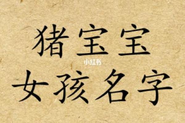 属猪人的五行命理解析:深入了解猪年出生者的性格与命运 属猪人的五行命理解析:深入了解猪年出生者的性格与命运