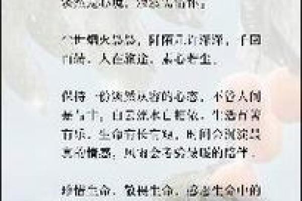 受人找佩之命:探秘人生的意义与价值 受人找佩之命:探秘人生的意义与价值