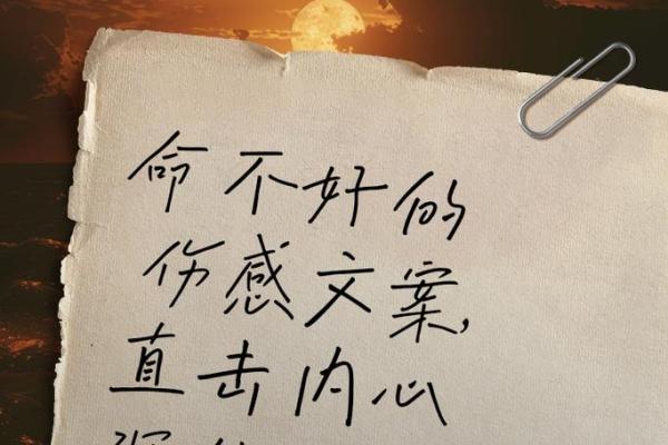 揭秘平命与热命,探寻命运背后的秘密! 揭秘平命与热命,探寻命运背后的秘密!