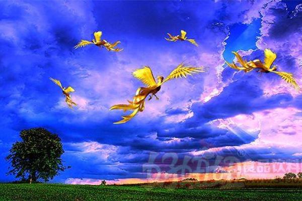 揭秘凤凰命格：如何辨别与把握这一命理特征！