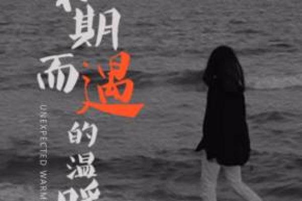 破解天鹅命的奥秘:如何拥抱生命的优雅与自由 破解天鹅命的奥秘:如何拥抱生命的优雅与自由