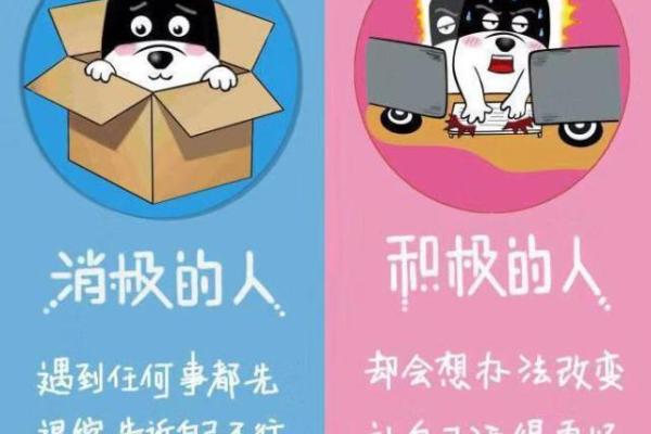 破解天鹅命的奥秘:如何拥抱生命的优雅与自由 破解天鹅命的奥秘:如何拥抱生命的优雅与自由