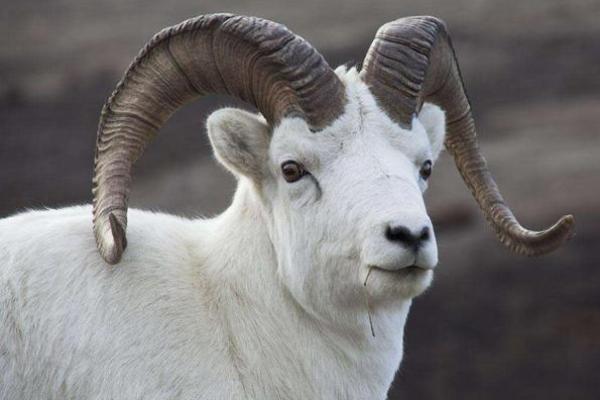 霹雷火命与大海水命的神秘交融与命运启示