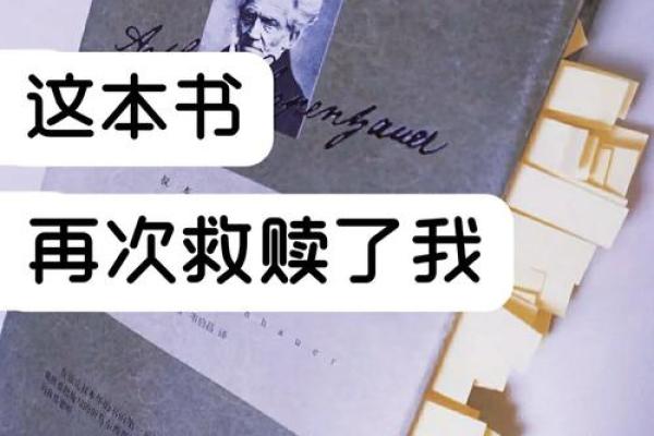 男命328：揭示命运的神秘密码，助你领悟人生的智慧！