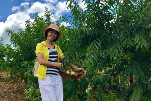 三头火命女适合的颜色，助你助运火上加油！