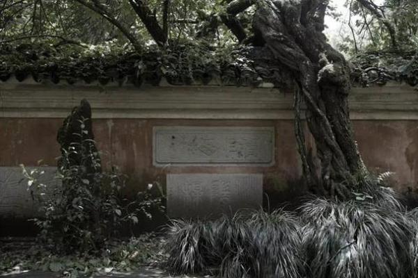 廿四山山命：探寻命理中的自然之道与人生智慧