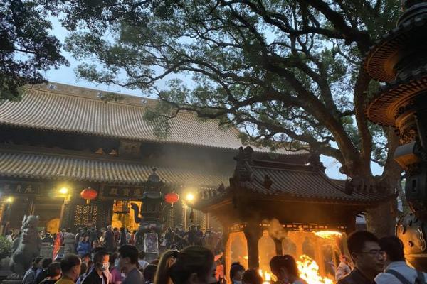 廿四山山命：探寻命理中的自然之道与人生智慧