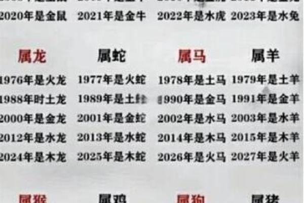属鼠男孩：半夜出生的他注定与众不同的命运解析