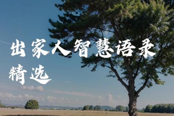 女命何种命格适合出家为尼姑，寻找内心的宁静与智慧