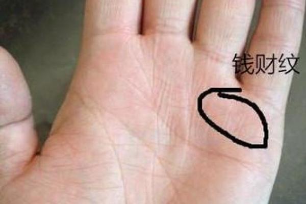 揭秘富贵命的八字特征,助你财富自由与人生成功 揭秘富贵命的八字特征,助你财富自由与人生成功