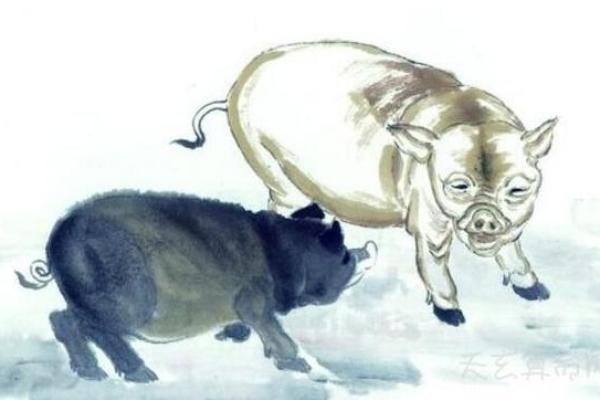 属猪马烈如日中之命，揭示性格与命运的奇妙法则