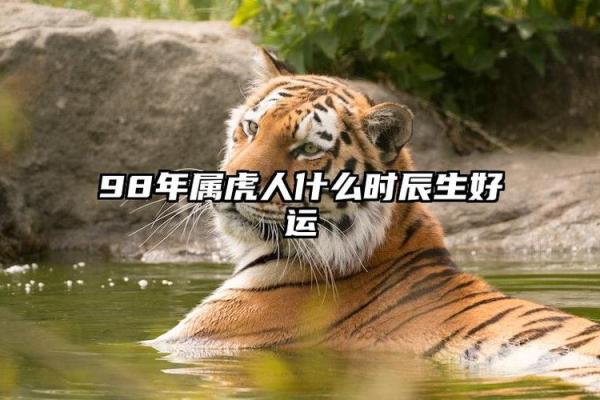 属虎正月份命运解析：揭示你的生辰之谜