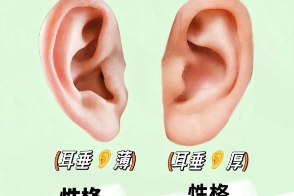 脾气与命运：性格如何塑造人生轨迹？