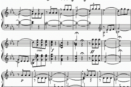 命运的交响乐：从“油”到“天”而生的哲学思考