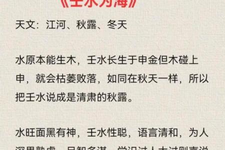 了解壬水命男人的命运特征与人生智慧