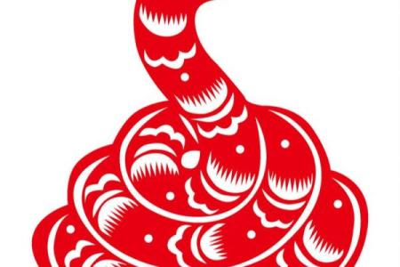 揭示2001年出生者的命运与性格特征