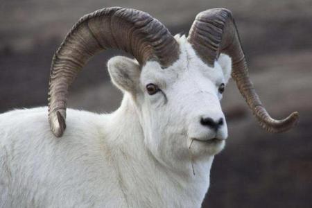 霹雷火命与大海水命的神秘交融与命运启示