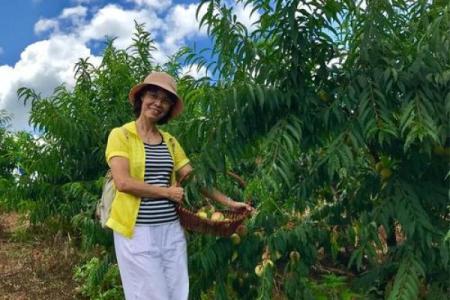 三头火命女适合的颜色，助你助运火上加油！