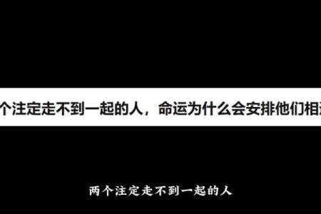 命运的安排：顺应人生的每一个转折与选择